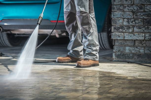 Best Animal Enclosure Cleaning  in Argyle, TX